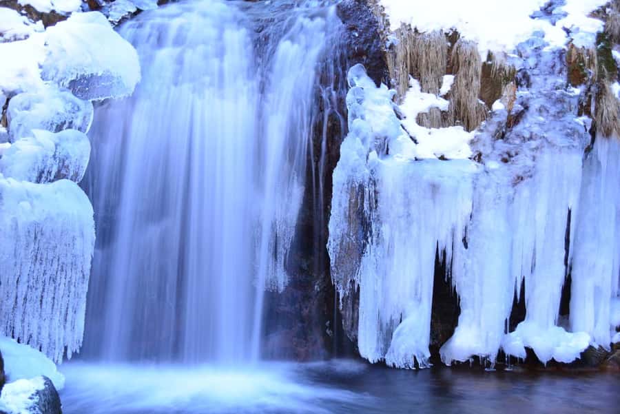 Tokyo: Nikko Day Tour Shrines, Lake Chūzenji & Kegon Falls - Price and value for a private group up to 6 people