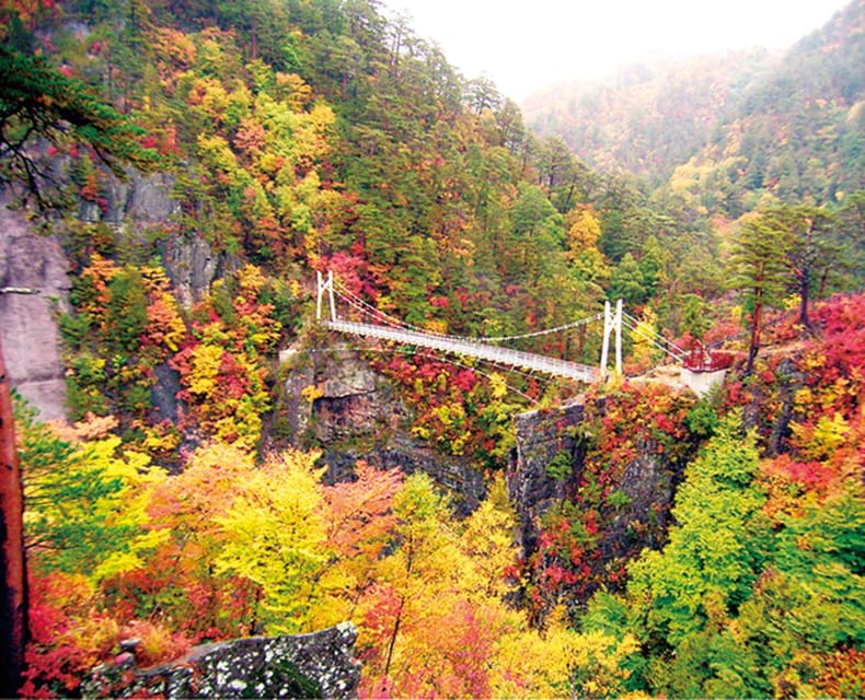 Tokyo: Nikko Day Tour with English Driver and Flexible … - Tamozawa Imperial Villa Memorial Park and Akechidaira Ropeway