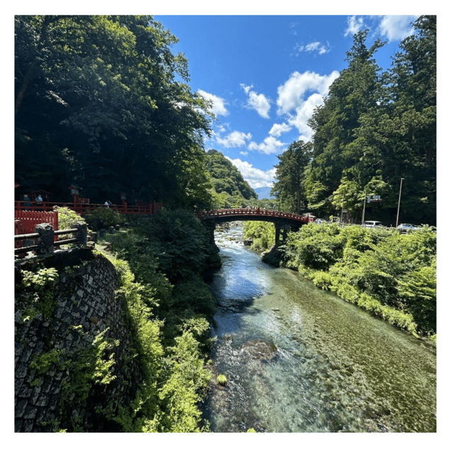 Tokyo: Nikko Kegon Falls Lake Chuzenji Toshogu Temple & More - Key things to know before you go