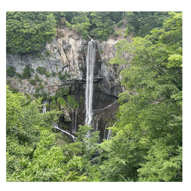 Tokyo: Nikko Kegon Falls Lake Chuzenji Toshogu Temple & More - Private driver value: how this Nikko day stays comfortable