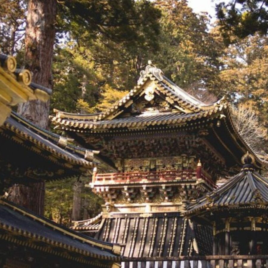 Tokyo: Nikko Kegon Falls Lake Chuzenji Toshogu Temple & More - Toshogu Shrine: where the detail work is the whole point