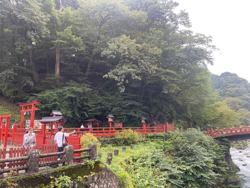 Tokyo: Nikko Private Customize Tour English Driver & Guide - Tosho-gu Shrine Complex: what to notice besides the main gates