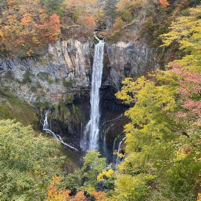 Tokyo: Nikko Private Day Tour Fully Customizeable Low Price - Key Highlights Worth Planning Around