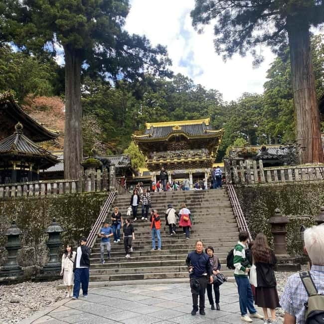 Tokyo: Nikko Private Day Tour Fully Customizeable Low Price - Akechidaira Ropeway: The Best Shortcut to Treetop Views