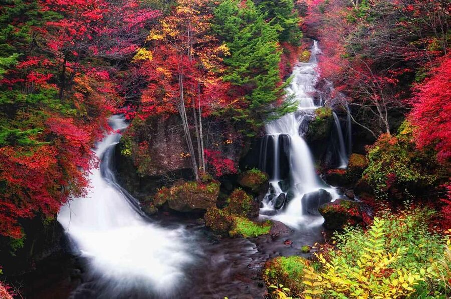 Tokyo: Nikko Private Day Tour with English Speaking Driver - Why This Private Nikko Day Trip Feels Worth It