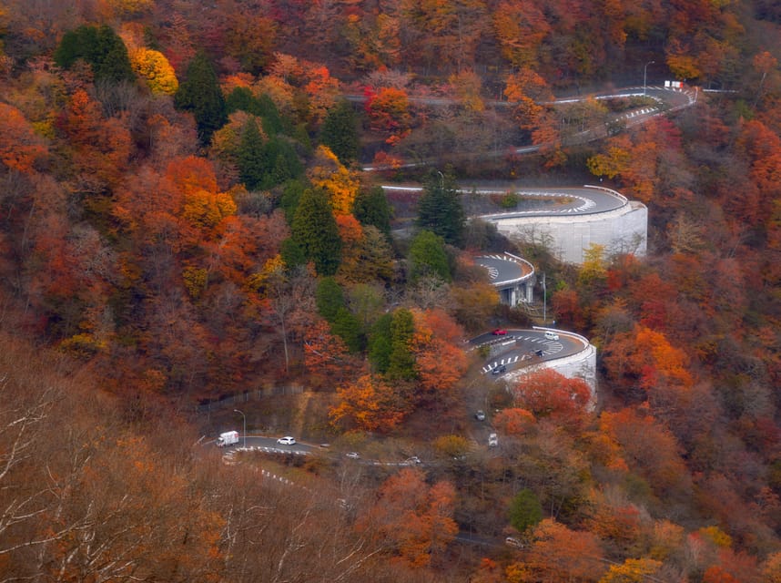Tokyo: Nikko Private Day Tour With Guide - Akechidaira Ropeway: the best quick win for first-time Nikko views