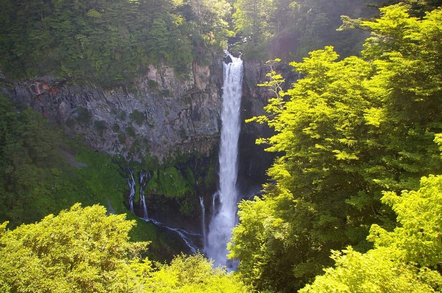 Tokyo: Nikko Private Sightseeing Day Trip with Driver - Toshogu Shrine: Ornate Tokugawa Details Worth Your Time