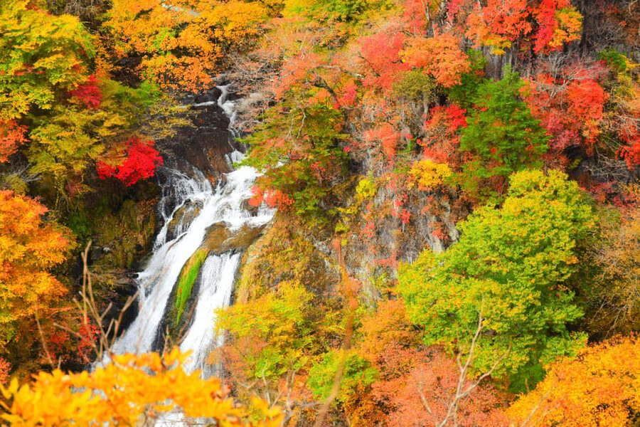 Tokyo: Nikko Private Sightseeing Day Trip with Driver - Edo Wonderland: A Fun Detour to Break Up the Temples