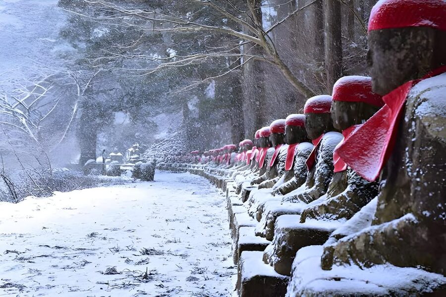 Tokyo: Nikko Private Sightseeing Day Trip with Driver - Private Group Value: How English Hosts Actually Make the Day Better