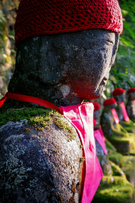 Tokyo: Nikko Private Sightseeing Day Trip with Driver - Price and Logistics: Is $355 a Good Deal for Nikko?