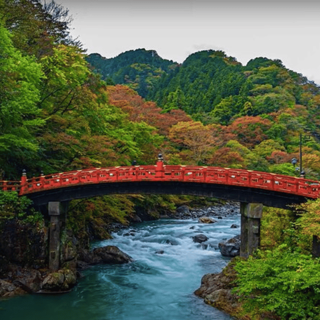 Tokyo Nikko Private Tour Customizable Day Trip English Guide - Nikko Toshogu Shrine, the Edo masterpiece you’ll remember