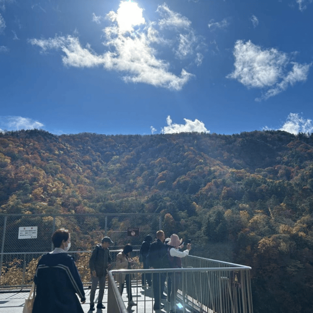 Tokyo Nikko Private Tour Customizable Day Trip English Guide - Lake Chuzenji and Nikkō National Park, cool-air reset