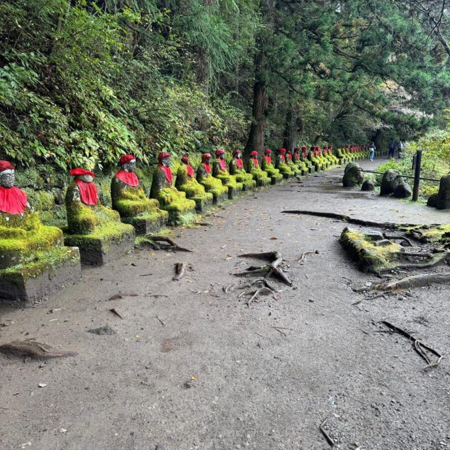 Tokyo Nikko Private Tour Customizable Day Trip English Guide - Edo Wonderland optional stop, for fans of performance history