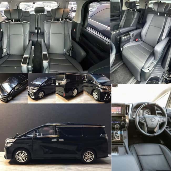 Tokyo Nikko Private Tour Customizable Day Trip English Guide - Luxury Toyota Vellfire and door-to-door pickup