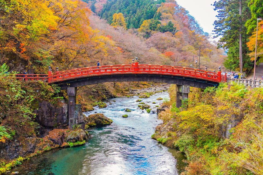Tokyo Nikko Toshogu Shrine Iroha-zaka Lake Chuzenji Day Tour - Lake Chuzenji: one hour of Japan’s highest natural lake