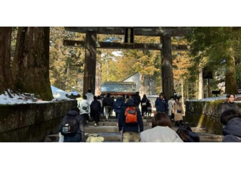 Tokyo: Nikko World Heritage Private Day Trip Hotel Pick-up - Key highlights that make this Nikko trip feel worth it