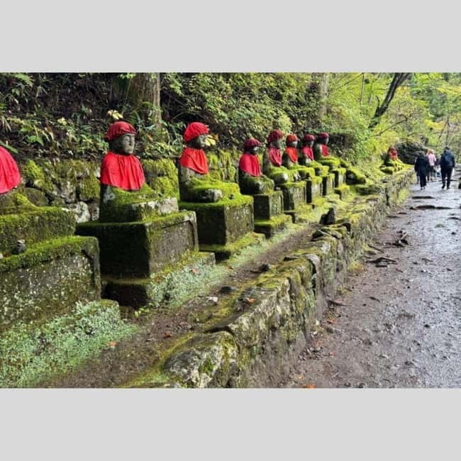 Tokyo: Nikko World Heritage Private Day Trip Hotel Pick-up - Why a private Nikko day trip from Tokyo beats DIY