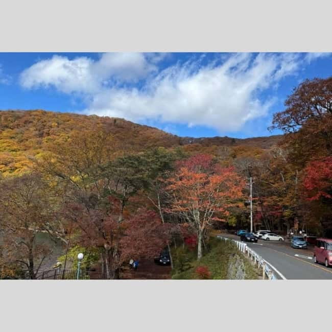 Tokyo: Nikko World Heritage Private Day Trip Hotel Pick-up - Toshogu Shrine and Shinkyo Bridge: the sights you came for
