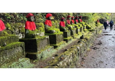 Nikko World Heritage Private Day Trip Hotel Pick-up
