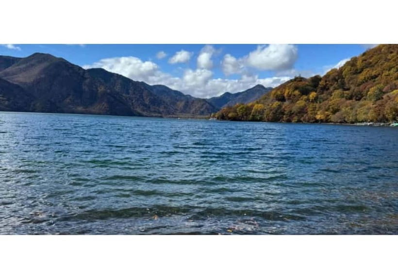 Tokyo: Nikko World Heritage Private Day Trip Hotel Pick-up - Narabi Jizō: the stop that quietly changes how you see Nikko