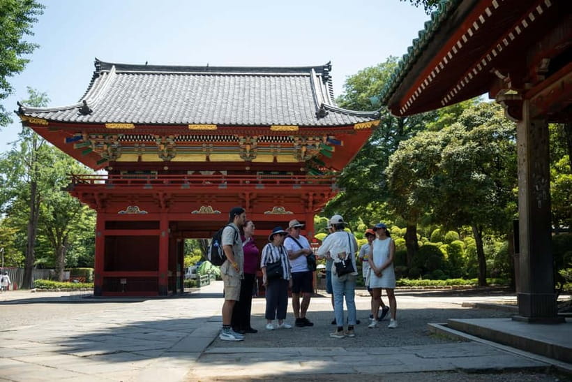 Tokyo: Old Quarter Yanaka Walking Tour - Yanaka’s Himalayan cedar tree: a short stop with big context