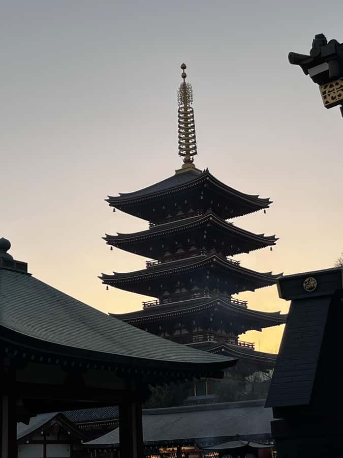 Tokyo: Old Town Asakusa Guided Tour -Senso-ji Temple Visit - Stop 3: Asakusa Shrine visit (about 15 minutes)