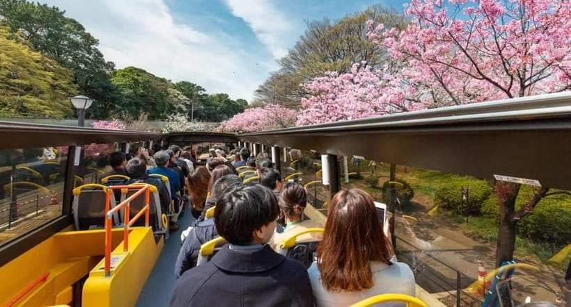 Tokyo: Open Top Panoramic Sightseeing Bus with Audio Guide - Key highlights to look for before you board