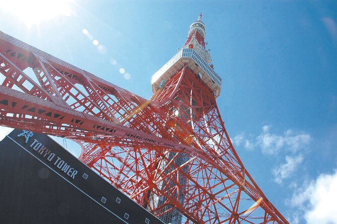 Tokyo Panoramic 1 Day: Meiji Shrine, Asakusa, Odaiba and SKYTREE® - Meiji Jingu Shrine: what to notice in the forest calm
