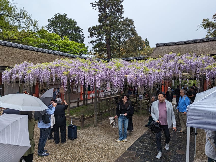 Tokyo: Personalized Half-day Tour - Asakusa And Senso-ji: A Temple Street Morning (Without Feeling Lost)