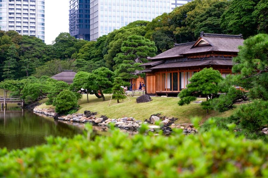 Tokyo: Personalized Private 6-Hour Tour - Key reasons this tour works so well