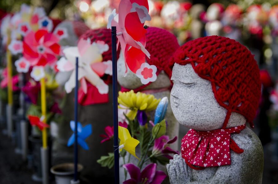 Tokyo: Photography Masterclass - Private Photo Lesson - Meeting Hachiko in Shibuya, the Perfect Starting Line