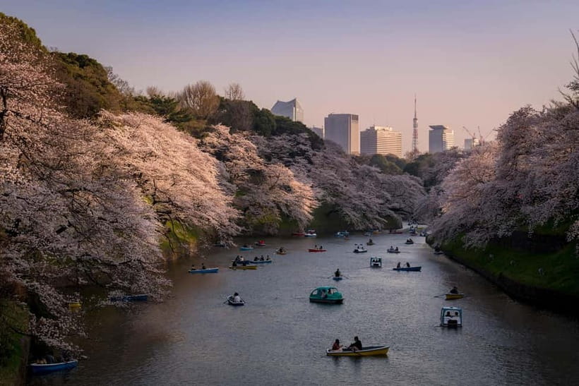 Tokyo: Photography Masterclass - Private Photo Lesson - From Hachiko Crossing to Shibuya Side Streets, Learn to Control the Chaos