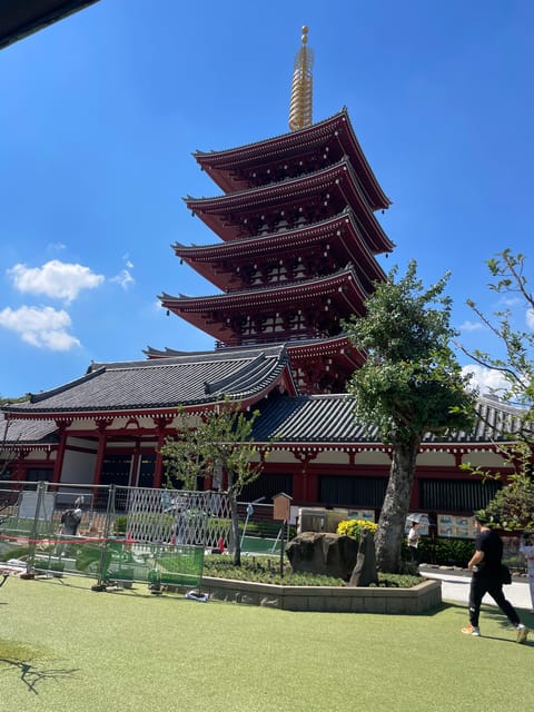 Tokyo: Private City Highlights Tour - How a private 8-hour highlights day actually works