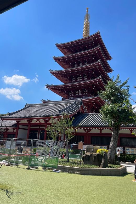 Tokyo: Private City Highlights Tour - Meiji Shrine: Shinto calm in the middle of the city