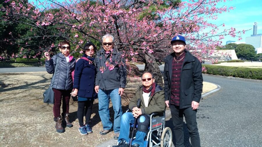 Tokyo: Private City Highlights Tour with Local Guide - Harajuku and Takeshita Street: kawaii energy with a plan