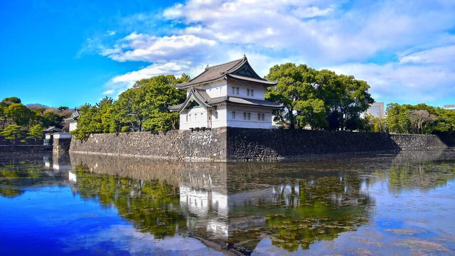 Tokyo: Private City Highlights Tour with Local Guide - Tsukiji Fish Market and food time: what a guide can do here