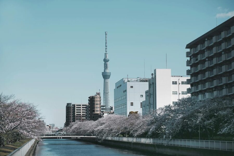 Tokyo: Private Customizable City Tour with Chauffeur - Key points at a glance
