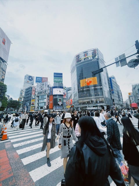Tokyo: Private Customizable City Tour with Chauffeur - Meiji Shrine: a quiet pause inside the city