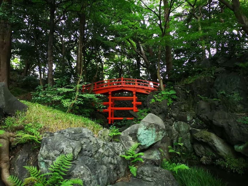 Tokyo: Private & Customizable Tour - All-in-One Experience - What to expect on tour day: pace, photos, and real flexibility