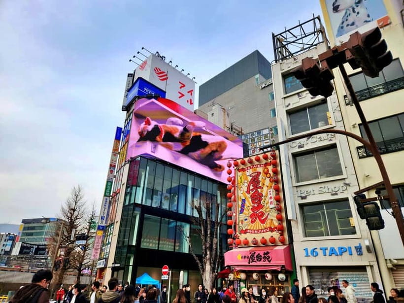 Tokyo: Private & Customizable Tour - All-in-One Experience - Pickup on foot, meeting points, and why this matters