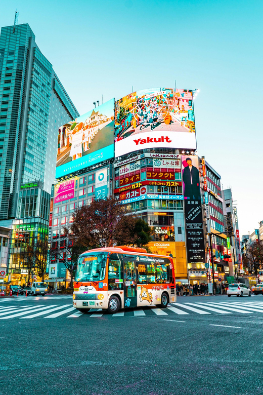 Tokyo: Private & Customizable Tour - All-in-One Experience - Price and value: $51 is really about reducing friction