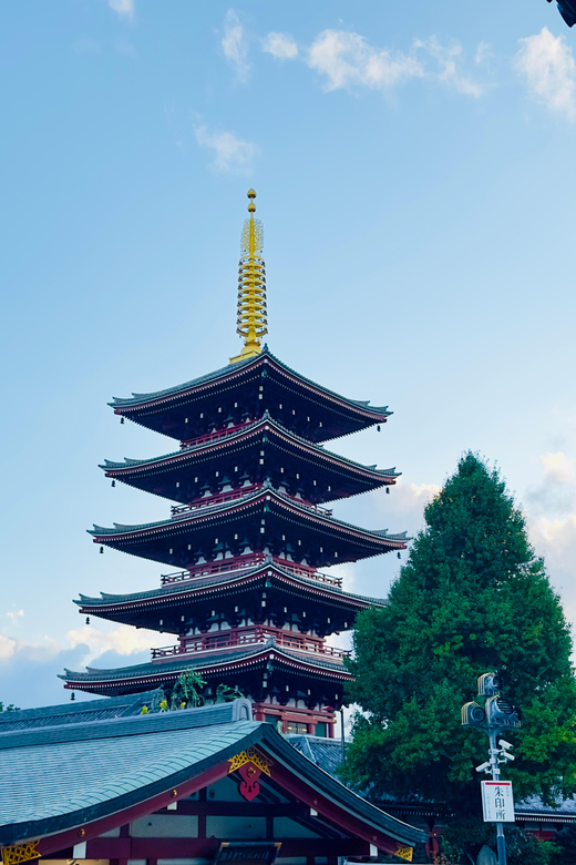 Tokyo: Private & Customizable Tour W/English Speaking Guide - Key Highlights You Should Care About