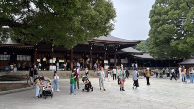 Private Customizable Tour with a Local Guide