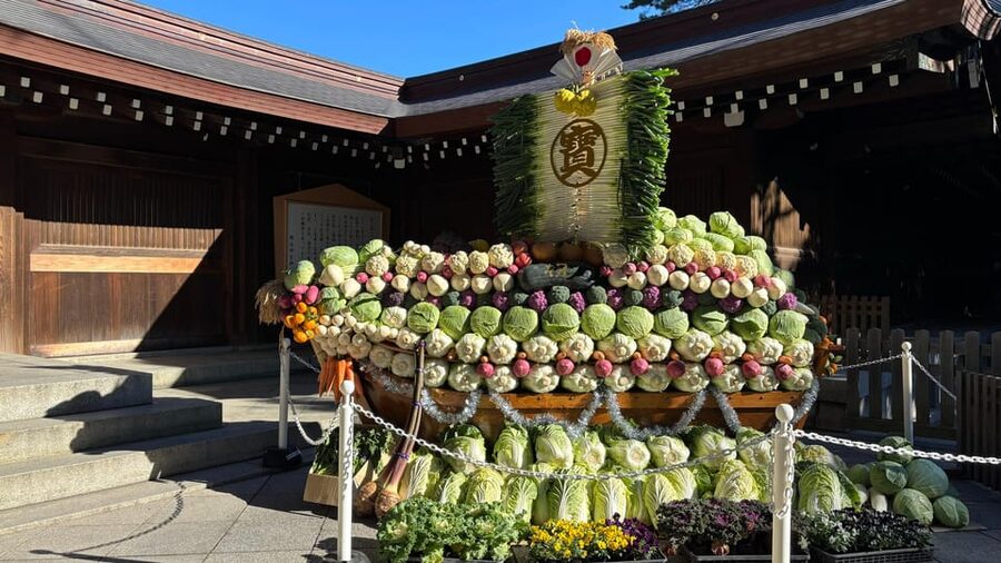 Tokyo: Private Customizable Tour with a Local Guide - Akihabara for otaku culture, shopping time with direction