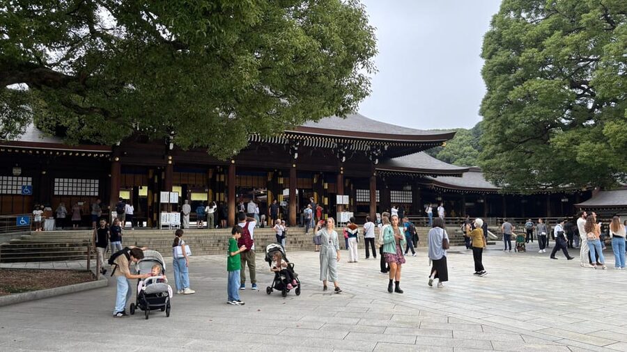 Tokyo: Private Customizable Tour with a Local Guide - Tsukiji Outer Market first, where you get your bearings fast