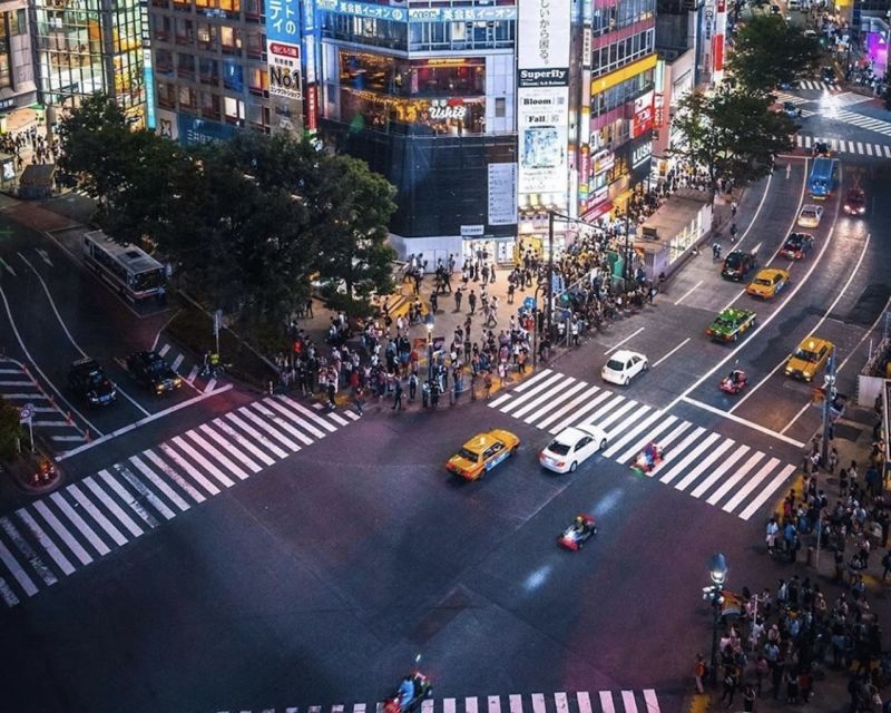 Tokyo: Private Customizable Tour with Transfer - Key things to know before you go