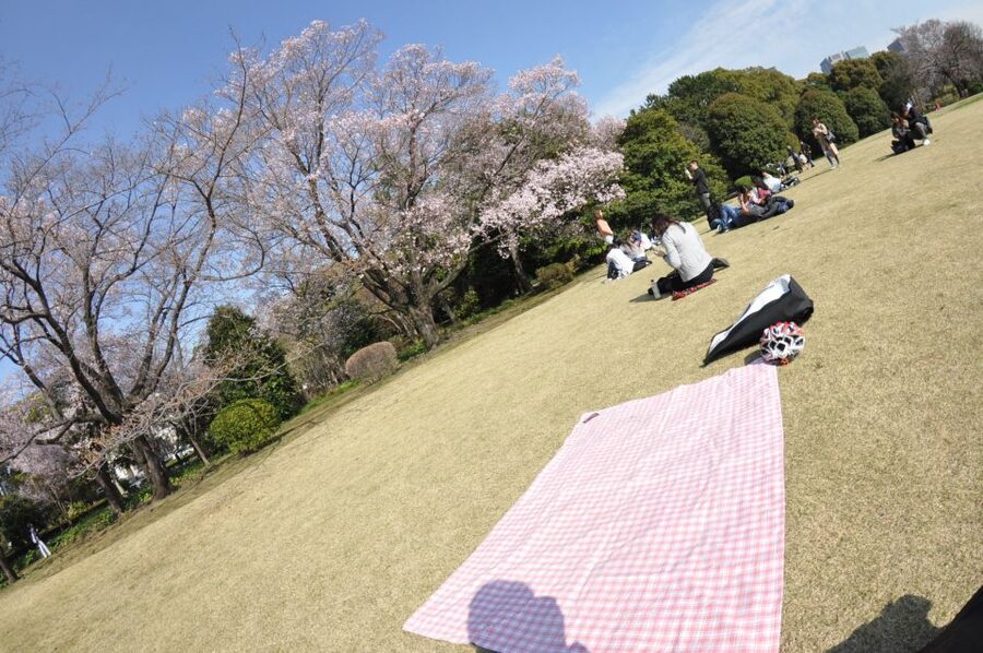 Tokyo: Private Cycling Tour with cute E-bike - Quick, practical advice before you book