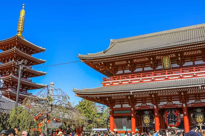 Tokyo Private Day Trip - Enjoy Your First-Time Visit to Tokyo! - Stop 1, Meiji Jingu Shrine: A Calm Reset in the Middle of Tokyo