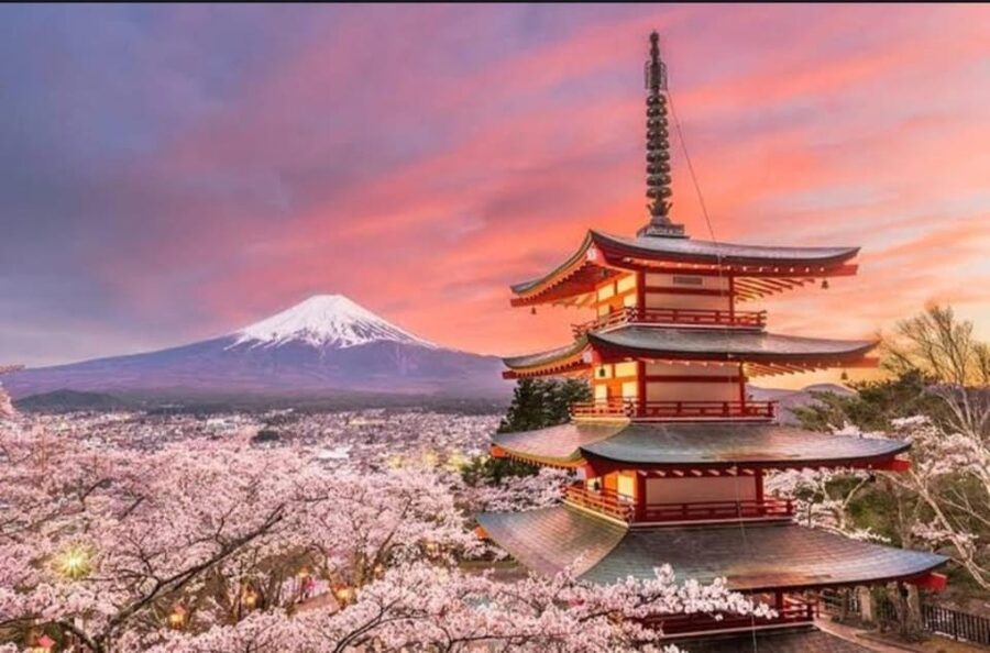 Tokyo: Private Day Trip to Mount Fuji and Hakone - Hakone Ropeway, Lake Ashi, and Owakudani Valley