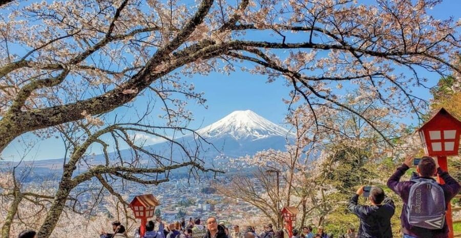 Tokyo: Private Day Trip to Mount Fuji and Hakone - Private Pickup, Private Pace: How the Day Really Feels